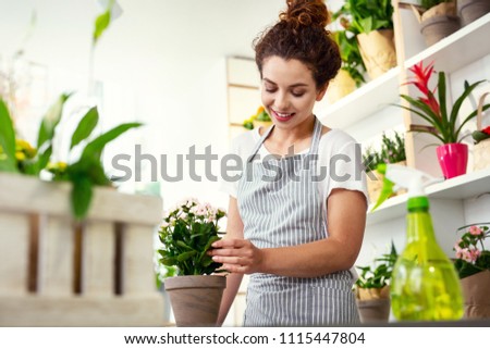 Professional florist. Delighted cheerful woman caring about a flower while working as a florist in the flower shop