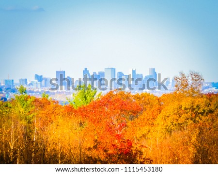 Boston skyline panoramic image behind the orange, yellow, and red leaves during foliage in the Blue Hills Reservation natural park. Foliage in New England, Massachusetts. Photo with selective focus.