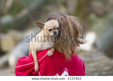 Girl with a Chihuahua dog on her shoulder