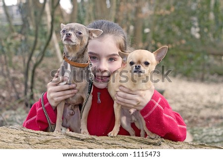 Girl and her two Chihuahua dogs