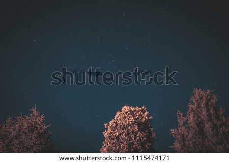 Night sky photo with stars and trees in foreground