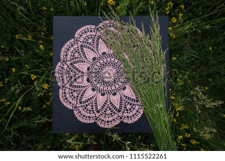 Crocheted round-type napkin of pink color lie on a black table.  On the background of green grass