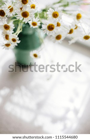 White daisies in a vase.