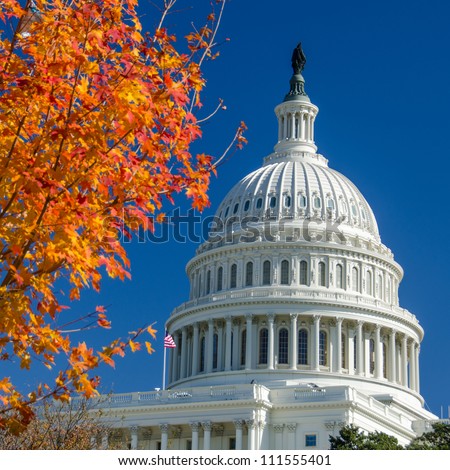 US Capitol Building in Autumn - Washington DC United States Royalty-Free Stock Photo #111555401