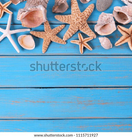 Tropical beach summer starfish background border 