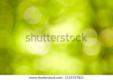 abstract green nature background, selective focus