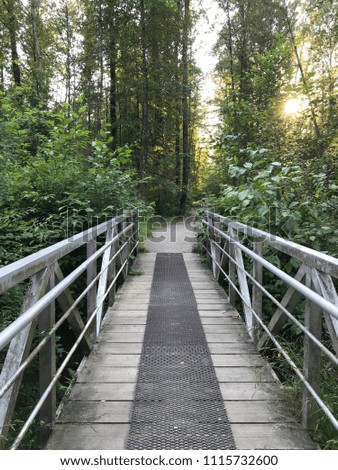 Bridge in forest, Canada