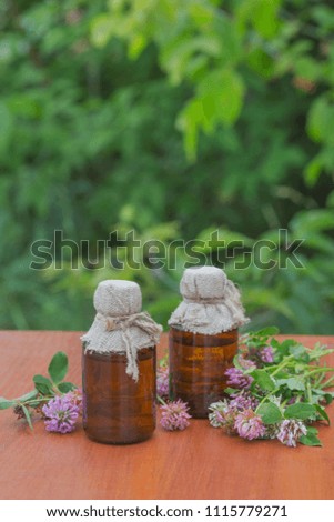 The medicinal infusion of clover is used in folk medicine