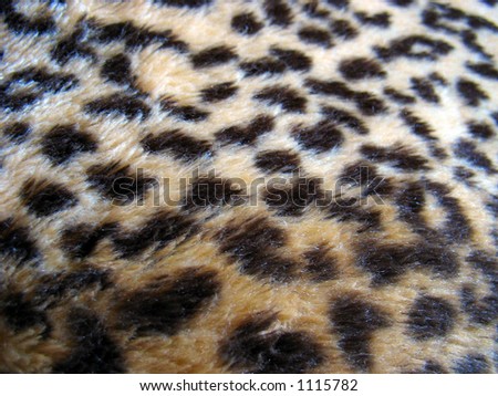 leopaord print fur texture