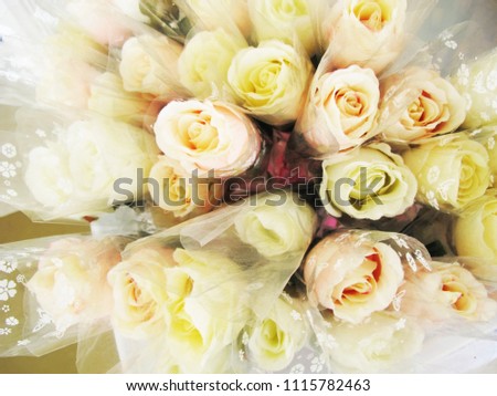 the blur texture of plastic rose                 