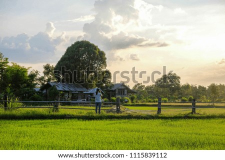 A relaxing Asian woman at agriculture field in the morning sunrise.