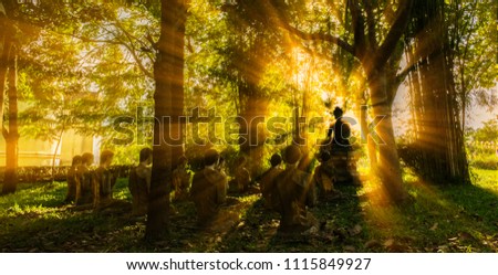 Buddha with rays sunlight from behind in forest under tree