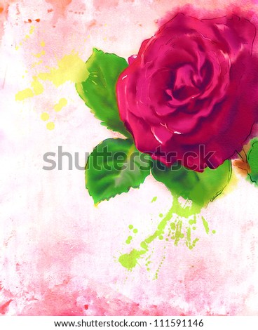 red rose. watercolor