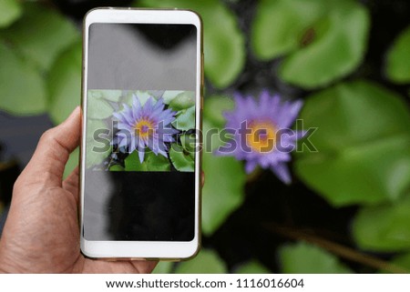 Lotus Flower photography with mobile smart phone