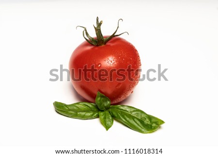 Wet fresh tomato with pedicel twig and basil leaves on white background