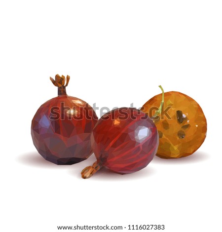 Fresh, nutritious and tasty gooseberry. Symbols of berries. Elements for label design. Vector illustration. Berries ingredients in triangulation technique. Gooseberries low poly.