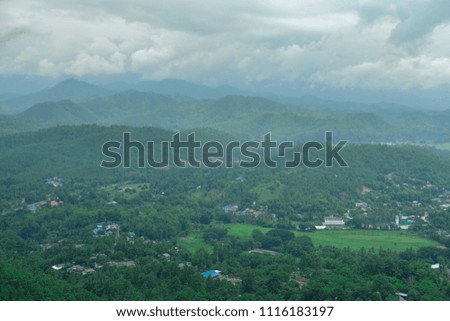 View of city scape in forest from highland view.