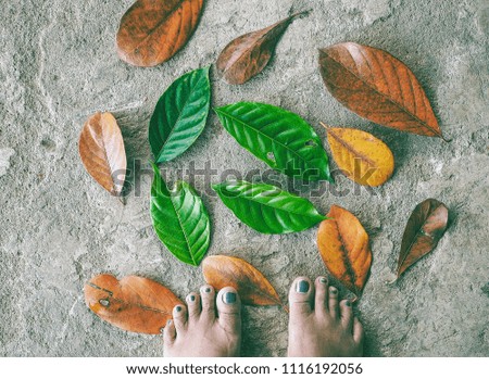Two feet standing on a dry leaf, brown and green leaves. On the cement floor.