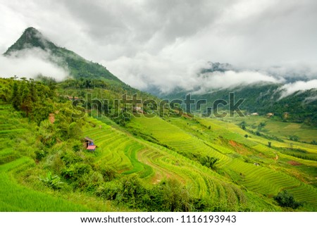 Guide tour around the lush rice paddies  and misty mountains of north west Vietnam, Sapa. Royalty-Free Stock Photo #1116193943