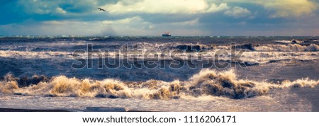 storm at sea with fishing boat in the distance and a seagull flying
