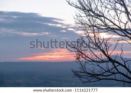 Sunset view In the province of Petchaboon. And the shadow of the branches is the foreground. Make beautiful pictures
