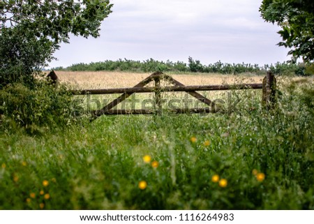 wooden fence of old craftsmanship and a grassland with high grass and deposits of bushes and trees. Typical traditional farming landscape with an atmospheric scene