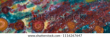 Bloodstone from India Royalty-Free Stock Photo #1116267647
