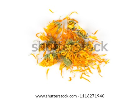 Calendula flowewr tea for infusion on white background