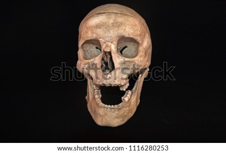 original human skull