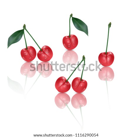 Set of perfect sweet cherries isolated on white background. Vector illustration