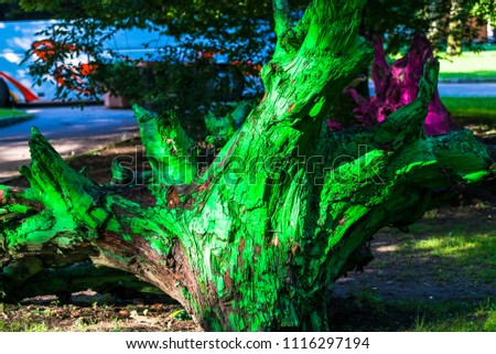 Amazing tree root painted in Sinaia Park, Romania
