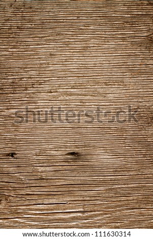 Ancient wood