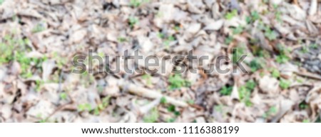 Defocused background of dry leaves. Intentionally blurred post production for bokeh effect