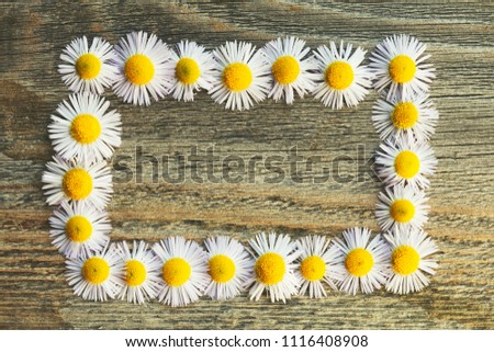 chamomile flowers as a photo frame on retro wooden wall or table, happy moments