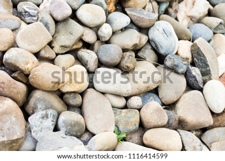Pebble stones close-up