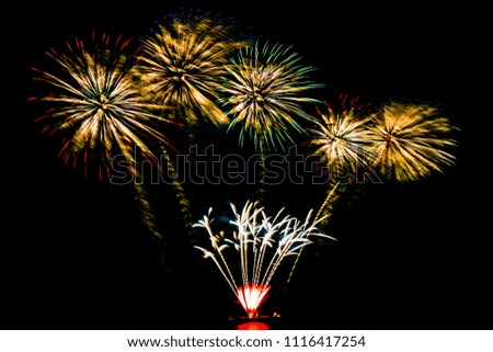 Beautiful color fireworks display on black sky at night for celebration