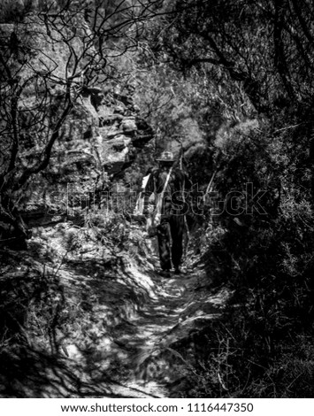 Black and White picture of a trail to Wentworth Falls, Blue Mountains, NSW, Australia