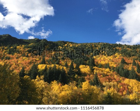 Beautiful landscape in autumn