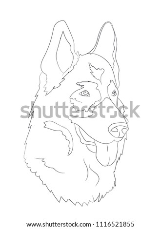 dog portrait, lines, vector, white background