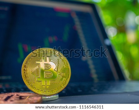 Bitcoins ladder on Forex chart background. Photo (new virtual money)
,trade in garden