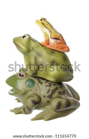 Frogs on White Background