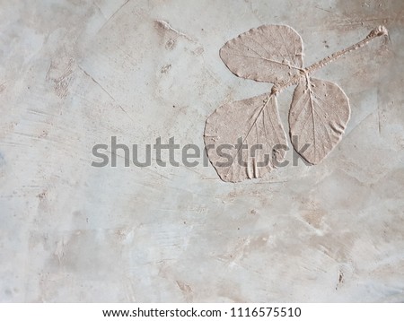 Leaf pattern stamped on cement floor