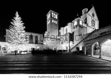 Christmas 2017 in Assisi (Umbria), with a view of San Francesco papal church at night, with big lighted tree and people on the square