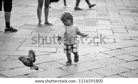 child runs after the pigeon. Photo closeup of cute fair-haired blond kid tiny little child baby boy feeding pigeon with bun walking along flag-stone pavement cityscape on blurred grey background