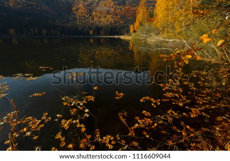 Beautiful sunset light on the shore of mountain lake during an autumn day. Trees in colors of fall