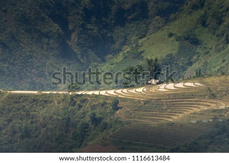 The image is as beautiful as the oil painting of terraced field. Curved lines of Terraced rice field during the watering season at the time before starting to grow rice in Mu Cang Chai in Yen Bai Prov