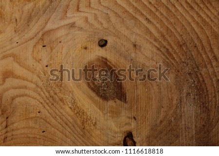 beautiful background of wooden structure of embossed wood