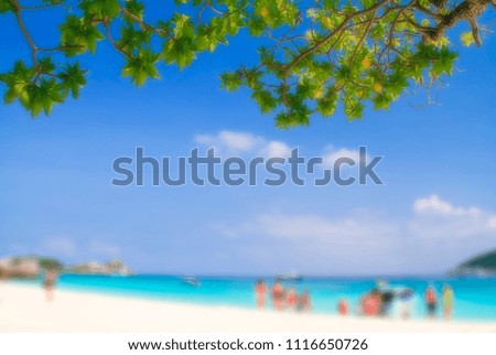 Ocean beach blue sky.Blurry effect.Background