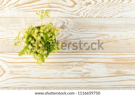 Linden Flowers on Wooden Background. Beautiful Summer Bouquet over Wood Table Texture. Tilia Blossom with Place for Text