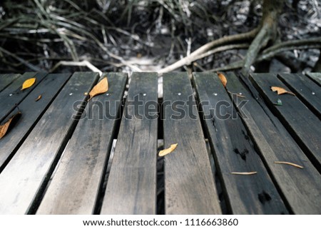 The wooden walkway was built for the tour of the mangrove forest.